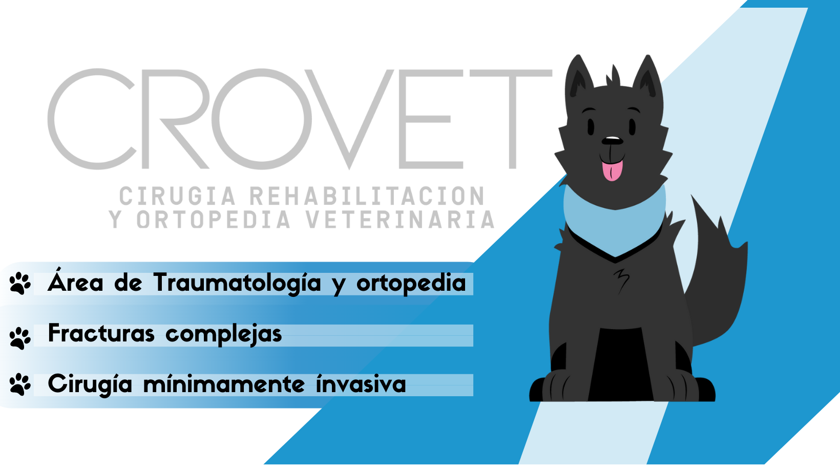 Crovet MX