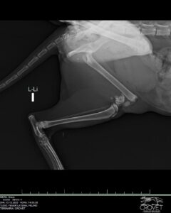 392784693_842065604599688_1163981811264860457_n