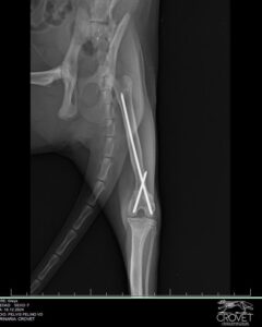 392814470_842065634599685_8053978863715975245_n