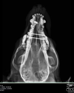 428649311_844171577722424_4759864472130041953_n