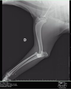 467293282_18067250380663581_5543903744475223309_n