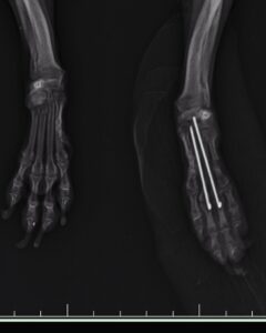 467326620_18067250296663581_8729001433814356092_n