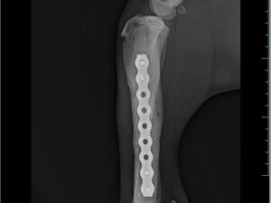 474886100_1079644190841827_8649429643237527949_n