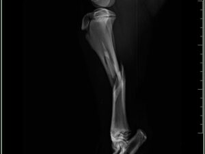 474959857_1079644240841822_6625822354128737280_n