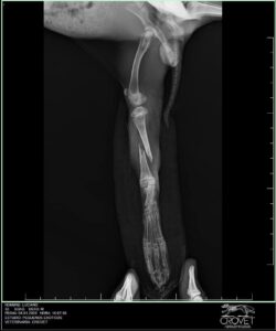 481772340_1102160098590236_3471471965580972143_n